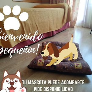 Habitación con 2 Camas Individuales